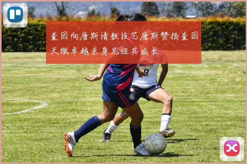 奎因向唐斯请教技艺唐斯赞扬奎因天赋卓越亲身见证其成长